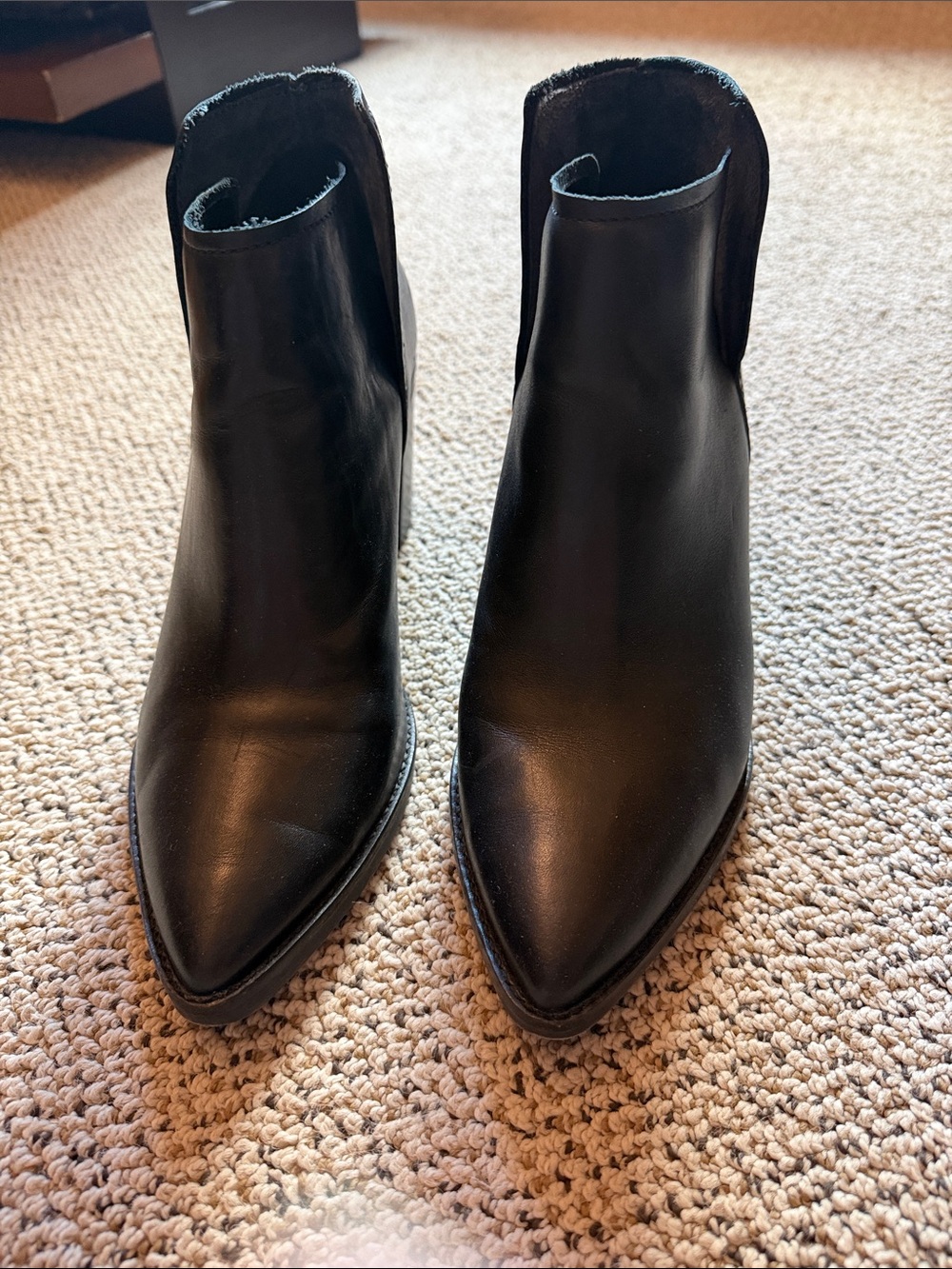 Dolce Vita Black Pointed-Toe Leather Ankle Booties